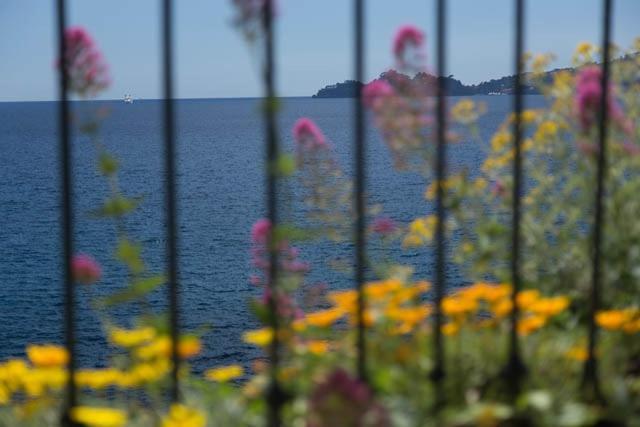 Giardino In Villa Margherita Zoagli Exterior photo